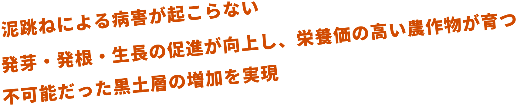 泥跳ねによる病害が起こらない 発芽・発根・生長の促進が向上し、栄養価の高い農作物が育つ 不可能だった黒土層の増加を実現